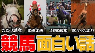 見たら競馬が100倍面白くなる動画！名馬の雑学4 [upl. by Fleur]