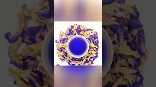 Benefits Of Drinking Blue Tea Made Frome Aparajita Flower aparajitatea ytshorts helthtips [upl. by Eneluqcaj]