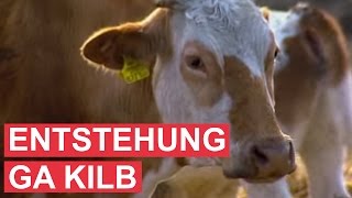 Rückblick Die Entstehung von Gut Aiderbichl Kilb [upl. by Palla247]