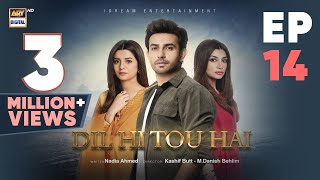 Dil Hi Tou Hai Episode 14  Ali Ansari  Zoya Nasir  21 Oct 2023  ARY Digital [upl. by Fennelly]