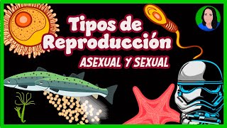 Reproducción  asexual y sexual  Biología [upl. by Ogaitnas858]