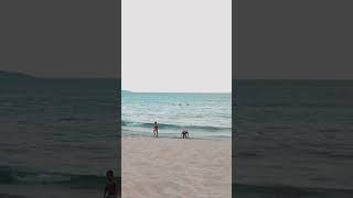 🇧🇷 Guaecá Beach São Sebastião São Paulo  Brazil shorts [upl. by Jennee535]