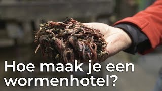 Hoe maak je een wormenhotel  Het Klokhuis [upl. by Areivax64]