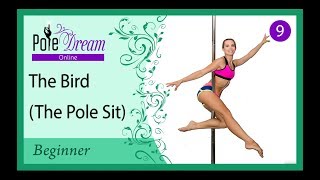 9  Bird \ Sitting Bird \ Pole Sit  Pole Dance Lessons [upl. by Adnov]