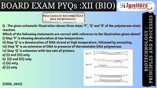 The given schematic illustration shows three steps ‘P’ ‘Q’ and ‘R’ of the polymerase chain react [upl. by Oiled]