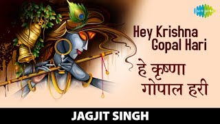 Hey Krishna Gopal Hari  हे कृष्णा गोपाल हरी  Jagjit Singh  New Bhajan And Kirtan 2022 [upl. by Enovi]