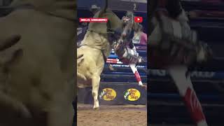 O MELHOR TOURO DO MUNDO 🐂😲😱 rodeo cowboys pbr [upl. by Yanal]