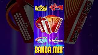 Lo Mejor De La Banda Mix 2024 La trakalosa La Adictiva Banda Ms Calibre 50 [upl. by Mont]