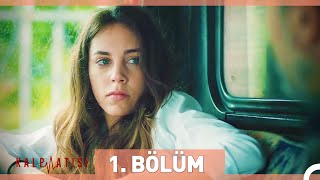 Kalp Atışı 1 Bölüm HD [upl. by Diannne918]