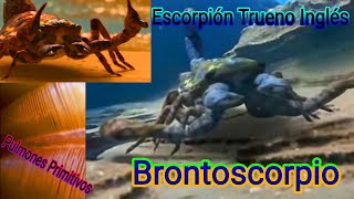 Brontoscorpio  El Escorpión Trueno Inglés  DinoPedias 🇬🇧 [upl. by Risley536]