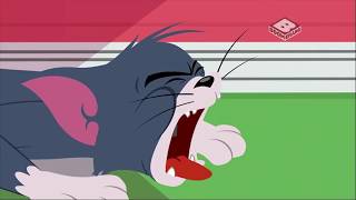 The Tom and Jerry Show  Tuffy Love  Funny animals cartoons for kids [upl. by Anairdna591]