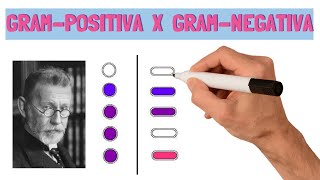 Coloração De Gram  Bactérias GramPositivas e GramNegativas  Microbiologia [upl. by Montford]