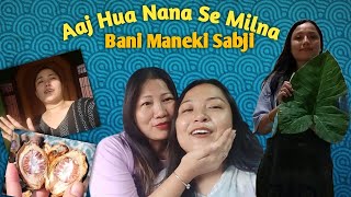 NANA SE MULAKAT familyvlog minivlog prernavlog villagelife [upl. by Wailoo]