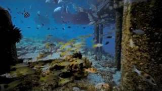 Semusim di Misool Rajaampat [upl. by Ytisahcal]