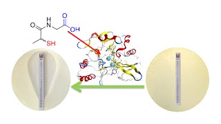 webinar recording a strategy to combat multidrugresistant bacteria [upl. by Ytineres]