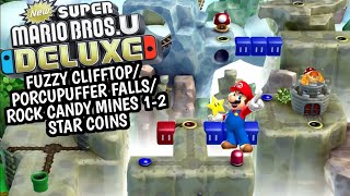 FUZZY CLIFFTOPPORCUPUFFER FALLS NSMB Deluxe Rock Candy Mines 12 Star Coins [upl. by Vernier687]