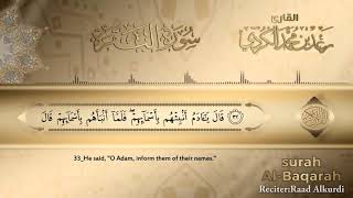 SURAH ALBAQARAH  NO ADS  beautiful Quran Recitation NoAds [upl. by Kcinnay]