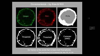 20240213  Colocalization lecture and workshop [upl. by Lleruj]