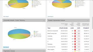 Spend Analysis Demo [upl. by Wind]