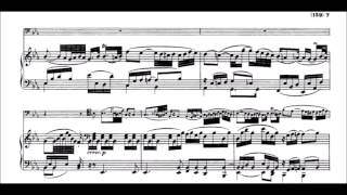 LVBeethoven Variations Bei Männern from Die Zauberflöte WoO 46 [upl. by Seavey]