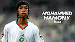 Mohammed Hamony  He Was Born to Dribble [upl. by Camella]