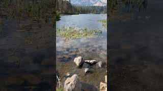 twinlakes mammothlakes lake mammothmountain inyonationalforest monocounty 조아하이킹 [upl. by Lorak611]