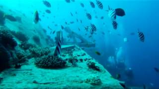 Dive 3D  Leben im Schiffswrack deutscher Trailer [upl. by Tindall84]