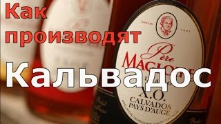 Как производят Кальвадос во Франции [upl. by Reldnahc]