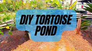 Sulcata Enclosure  DIY Tortoise Pond [upl. by Bellanca]