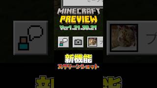 【統合版マイクラ】新機能・スクリーンショット BetaampPreview版 ver1213021 マイクラ統合版 MINECRAFT PREVIEW スクリーンショット 新機能 [upl. by Atteuqahc]