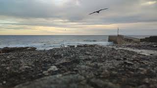 Evening Surf at the harbour ASMR 4K [upl. by Adore290]