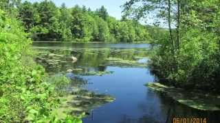 STONY BROOK WILDLIFE SANCTUARY NORFOLK MASSACHUSETTS [upl. by Portie]