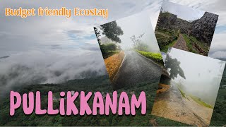 വാഗമണിലെ ഒരു എക്കോ സ്റ്റേ  Monsoon Ride  Himalayan Motovlog [upl. by Ahsinar]