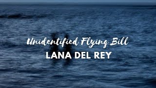 unreleased Lana Del Rey song  Unidentified Flying Bill Lyrics [upl. by Aved364]