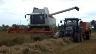 moisson 2014 avec moissonneusebatteuse claas lexion [upl. by Rosio]