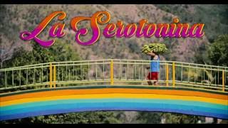 Manel  La Serotonina Videoclip Oficial [upl. by Eedahs]