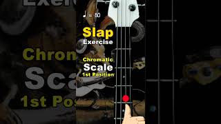 Slap Bass Exercise for Beginners  1st Position Chromatic Scale  Thumb Technic [upl. by Japha]