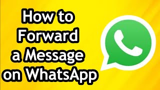 How to Forward a Message on WhatsApp [upl. by Meeharbi]