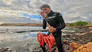 Hawaiian Solo Spearfishing 4 Menpachi  A Murky Omilua [upl. by Atirehs]