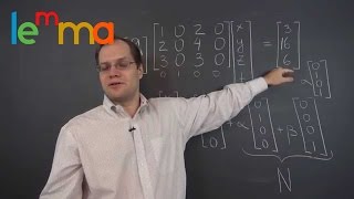 Linear Algebra 8h A Linear System with Zero Columns [upl. by Aihsercal]