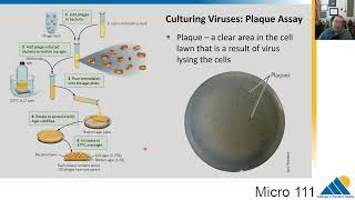 MICRO 111 Ch123 Virus Replication and Culture [upl. by Aehc]