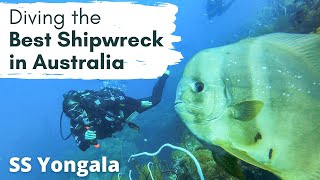 IS THIS THE BEST SCUBA DIVING IN AUSTRALIA Diving the SS Yongala Shipwreck in Queensland [upl. by Hcab]