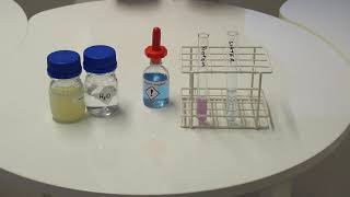 Protein test biuret test biuret principle [upl. by Eiroc]