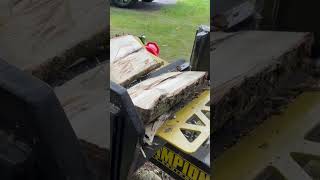 Easy firewood Splitting Ash down logging firewood [upl. by Darn]