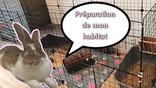 Jasmine Je prépare lhabitat pour accueillir un nouveau lapin [upl. by Alejoa]