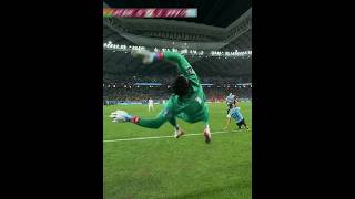 Impossible Goalkeeper Saves [upl. by Staley818]