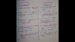 NADH Vs NADPH neet coenzymes [upl. by Nya]