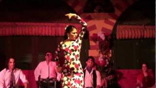 Flamenco Dance Seville Spain [upl. by Marjorie]