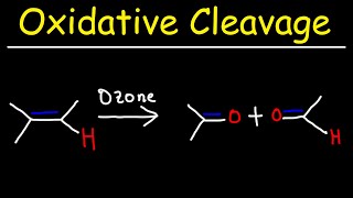 Oxidative Cleavage of Alkenes  KMnO4 and Ozonolysis [upl. by Wilda]