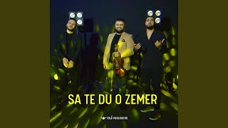 Sa te du o zemer [upl. by Egwin]